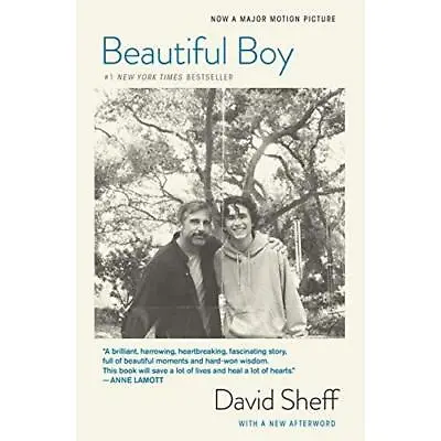 £13.38 • Buy Beautiful Boy (Tie-In): A Father's Journey Through His  - Paperback NEW Sheff, D
