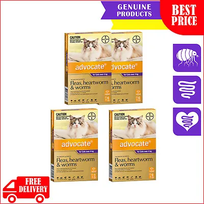 ADVOCATE For Cats Over 4 Kg PURPLE 3612 Pipettes Heartworm Flea Worm Treatment • $175.96