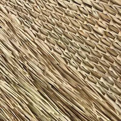 $49.99 • Buy 27'' X 10ft Mexican Palm Thatch Roll Grass Palm Leaf Thatching
