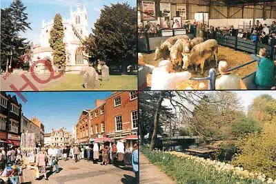 Picture Postcard_ Melton Mowbray (Multiview) • £2.49