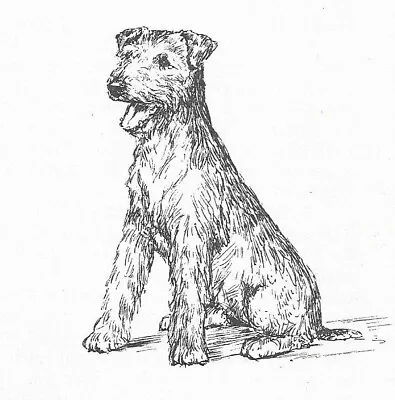 Welsh Terrier #3 - CUSTOM MATTED - 1963 Vintage Dog Art Print 0507 CLD • $12.50