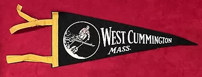 Vintage West Cummington Massachusetts 12  Pennant W/ Skiing Skier Graphic • $26.99