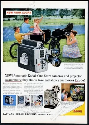 1959 Black Miniature Horse Photo Pulling Cart Kodak Cine 8mm Camera Print Ad • $9.99