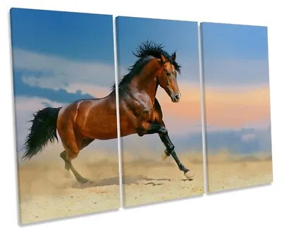 Horse Gallop Stallion Picture TREBLE CANVAS WALL ART Print • £44.99