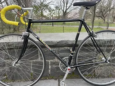 MASI Gran Criterium W/ Campagnolo & Dura Ace 56cm Best Bike Ever • $2100