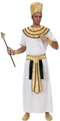 Mens Long Egyptian Fancy Dress Costume XS/S • £23.99