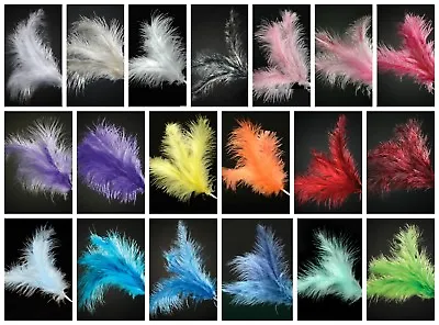 FEATHER Stem Sprays Fascinator Cake Topper Florist Wired Craft Decoration • £12.04