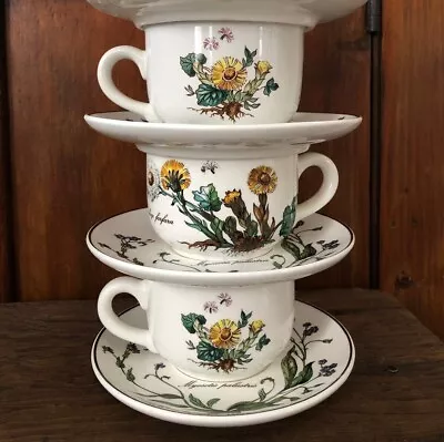 One (1) Villeroy & Boch Botanica Tea Cup And Saucer Tussilago Farfara Myosotis • $16.99