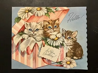 Vintage Birthday Card Cute Blue Eye Baby Kittens In Big Pink Striped Box Daisies • $5.39