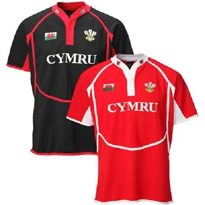 New Kids Babies 'new Cooldry' Wales Welsh Feathers/dragon Collared Rugby T Shirt • £17.99