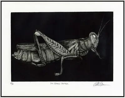 GIANT GRASSHOPPER Original Classical MEZZOTINT Signed Numbered Limited-Edition • $175