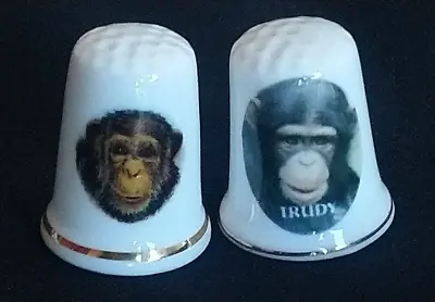 Trudy Chipperfield Circus Monkey World 1998 Chimpanzee China Souvenir Thimble • $14.90