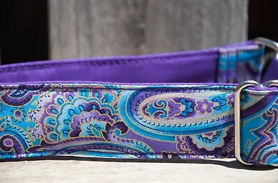 1.5  Inch Martingale Whippet Small Greyhound Collar. • $18