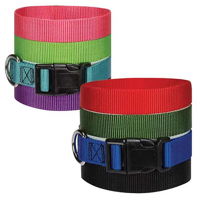 Nylon Dog Collars Adjustable Snap Buckle 8 Colors Available Choose Size & Color • $7.89