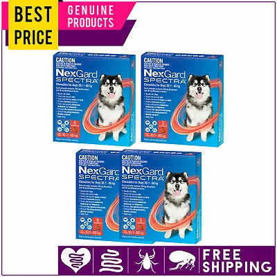 NEXGARD SPECTRA Heartworm Flea Control For Dogs 30.1 To 60 Kg RED 3612 Doses • $119.49