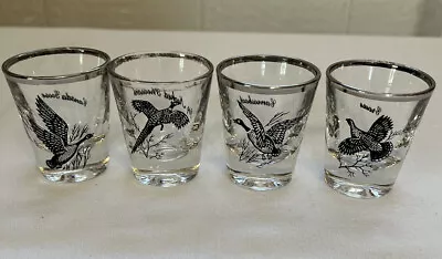 Federal Glass Waterfowl Game Bird Duck 🦆 Shot Glass Set Lot 4 Silver Rim Vtg • $18