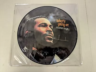 Marvin Gaye - What's Going On - Unreleased Detroit Mix On Picture Disc! RARE LP • $89.99