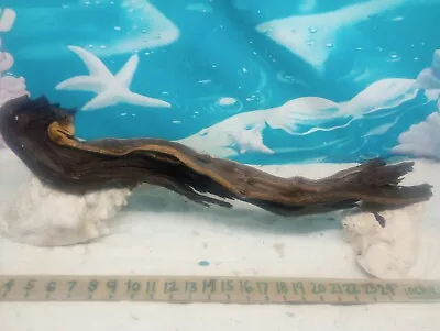  Manzanita Driftwood Premium Aquarium Wood Aquascape Decor Reptiles Bird Perch • $25