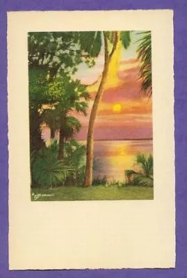 E G Barnhill Old Florida Tropical Palm Sunset Water River FL Color Print Card • $0.99