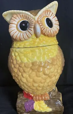 Owl Cookie Jar Davids Cookies Owl Canister Excellent! • $24.49
