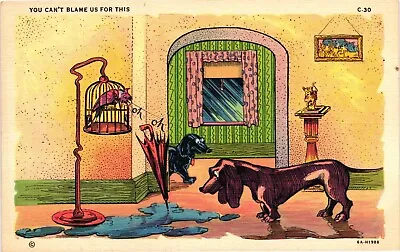 1940S Comic Dachshund Dog YOU CAN'T BLAME US FOR THIS Humor Postcard • $7.95