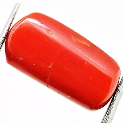 8.35 Cts 100% Natural Mediterranean Italian Red Coral Certified Gemstone • $50.99