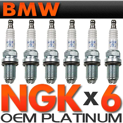 6-BMW Spark Plugs NGK Double Laser Platinum BMW Upgrade Set For E39-E46-M54 • $106.17