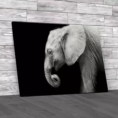 Baby Elephant Black White Canvas Print Large Picture Wall Art • £14.95