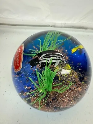 Murano Glass Fish Aquarium Ball 3  • $99.50