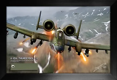 A-10 Thunderbolt Ii 'warthog' Relic Display By Ron Cole • $200