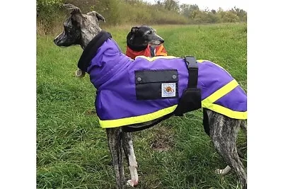 £24 • Buy Sighthound Italian Greyhound Lurcher Whippet Waterproof Shower Coat / Jacket