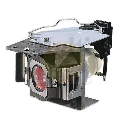 Original Bulb Inside Projector Lamp Module For BENQ W1070+W • $239.50