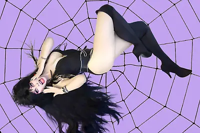 Elvira Mistress Of The Dark Purple Spider Web Poster • $20