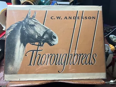 Throughbreds C W. ANDERSON 1942 1st Ed DJ Jacket Horse Horses Equestrian Classic • $62.50