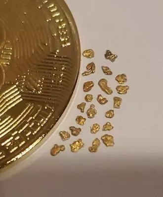 Pile Of Real Alaskan Gold Flakes Picker Nuggets + FREE GIFT BONUS 24kt BITCOIN  • $25