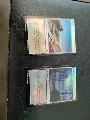 Mtg Foil Lands • $1.25