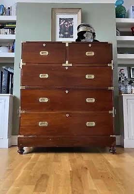 19th Century Brass Bound Rare Camphor Wood Military Campaign Chest Of Drawers • £995