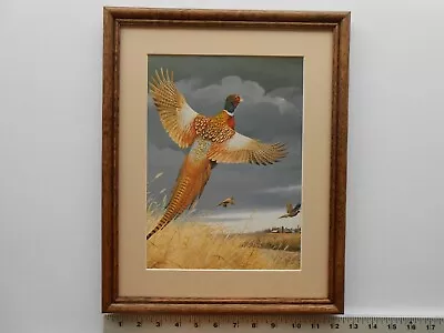 Maynard Reece DARK SKY-RING NECKED PHEASANT 11x14 Framed 4.0 239 • $35