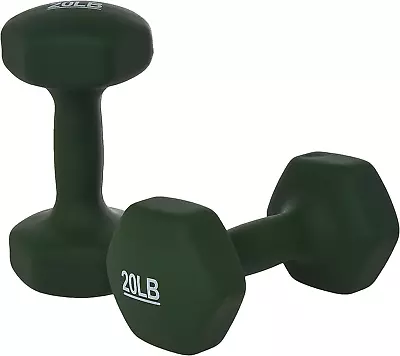 Hand Dumbbell Weights 40lb Neoprene Hex Free Weight Set Home Gym Fitness Workout • $57.99