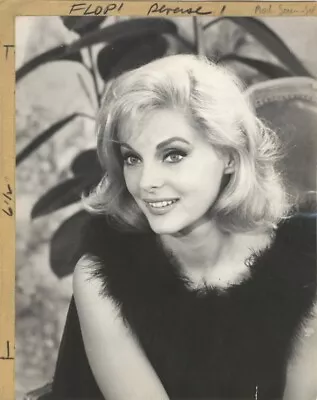 Virna Lisi Beautiful 9x11 Italian Agency Stamped Original Photo With Snipe 1965 • $49.99