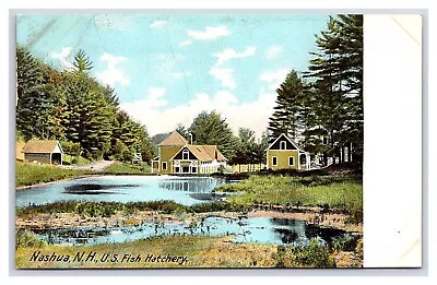 Nashua N. H. New Hampshire Fish Hatchery Postcard • $4.99