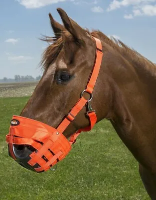 The Original Horse Grazing Muzzle - Black Or Orange - 7 Sizes • $48.35