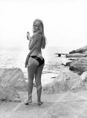 $9.99 • Buy 8b20-20293 Sexpot Pamela Tiffin In Her Bikini Bottom 8b20-20293