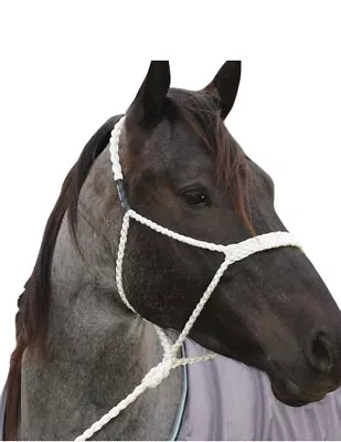 Classic Equine Halter Horse Mule Tape Adjustable Strong White HALTERMT • $63.54