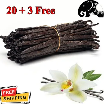 Vanilla Beans  100% Organic 20 Pods 3 Free Grade A 15cm Great Extract Baking • $25.13