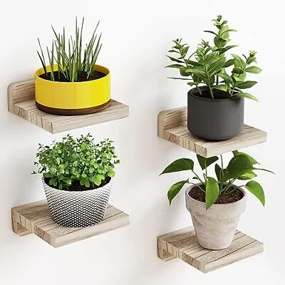 Small Floating Shelves 5X5 Inches Wall Shelf Set Of 4 Rustic Wood White • $15.37