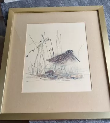 Vintage Framed Print A Common Snipe By Danish Artist MADS STAGE  46cm X 38.5cm. • $18.65