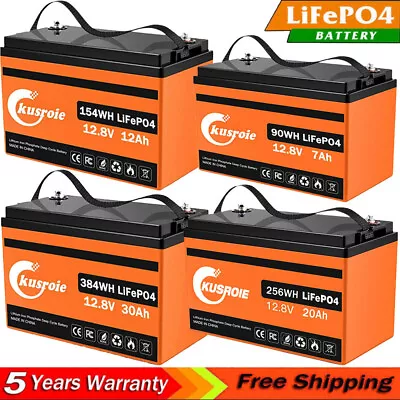 LiFePO4 Lithium Battery 12V 30Ah 20Ah 12Ah Deep Cycle For Solar RV Off-grid USA • $27.58