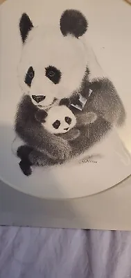 Panda And Baby Charcoal Print Signed By Virginia Miller. Preowned • £21.29