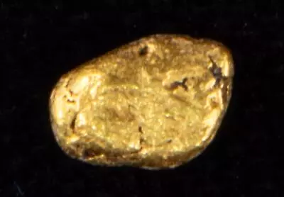 Genuine Calif. Alaska Natural Gold Nugget .22gr 4.91mm X 3.43mm Size • $28.12